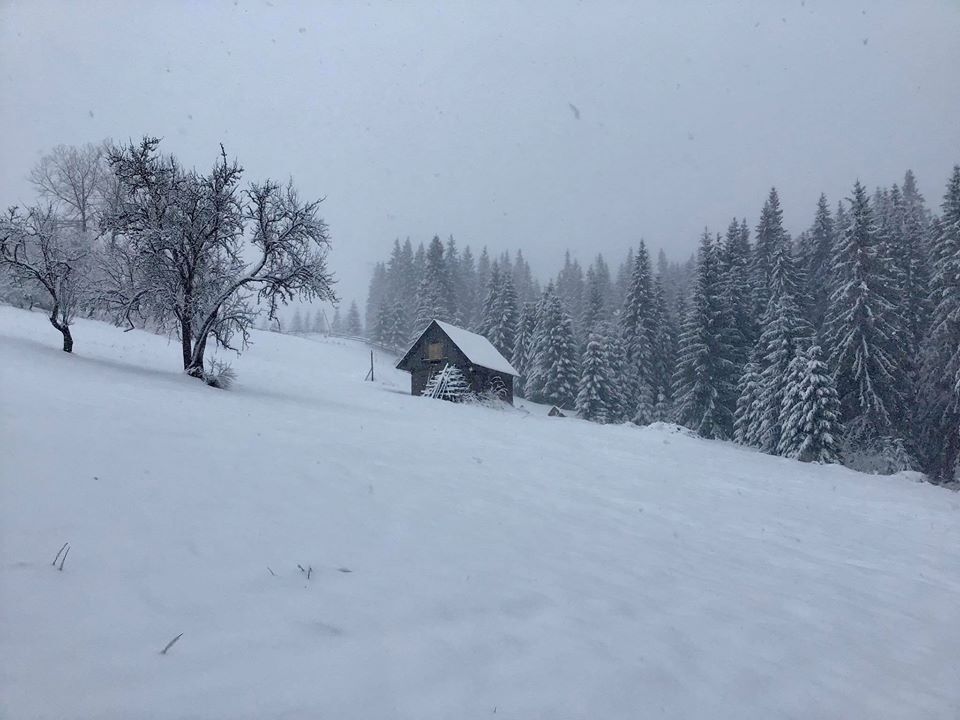 Українські Карпати завалило снігом: з'явилися яскраві кадри